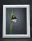Solid Wood 8R 10R 12R A4 A3 Photo Frame l Picture Frame l Premium Quality l Retro White Photo Frame l Certificate Frame l White Frame. 