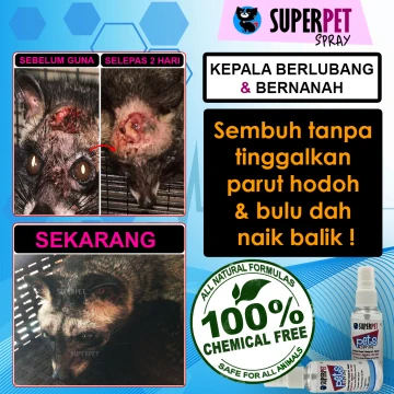 Beli ubat kurap fungus kucing spray Pada Harga Terendah  Lazada 