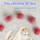 Interactive Cat Toy Ball Super Drive Cat Rolling Balls Motion Activated Sensor Pet Kitten Teaser Game Toys. 