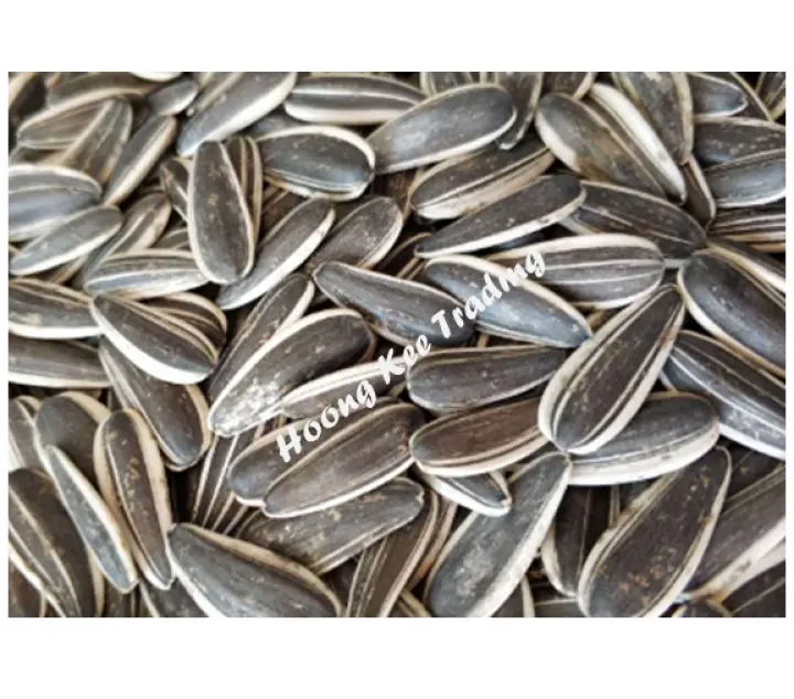 Sunflower Seed Kuaci Bunga 花瓜子 500g Lazada