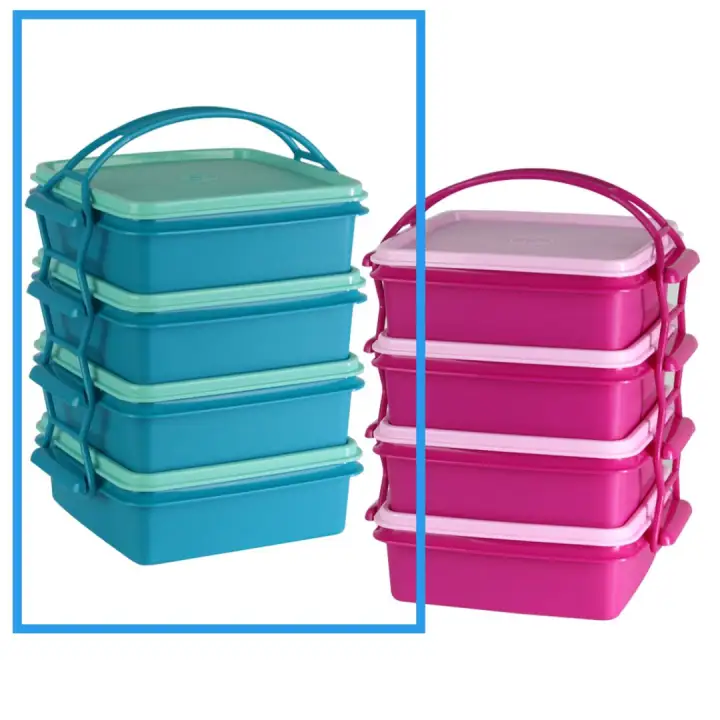 Tupperware Small Goody Box with Cariolier 790ml(4)