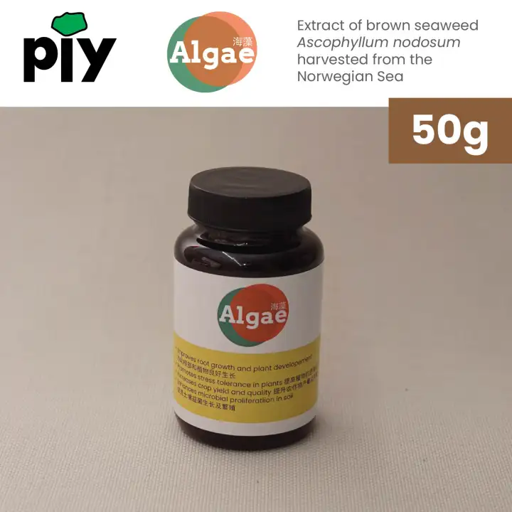 [50g] Algae 海藻 Soluble Seaweed Extract 海藻精