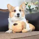Heartbeat Anxiety Training Toy Puppy Aid Sleep Behavioral Comfortable Dog Relief Pet Snuggle Doll Plush Durable Cute. 