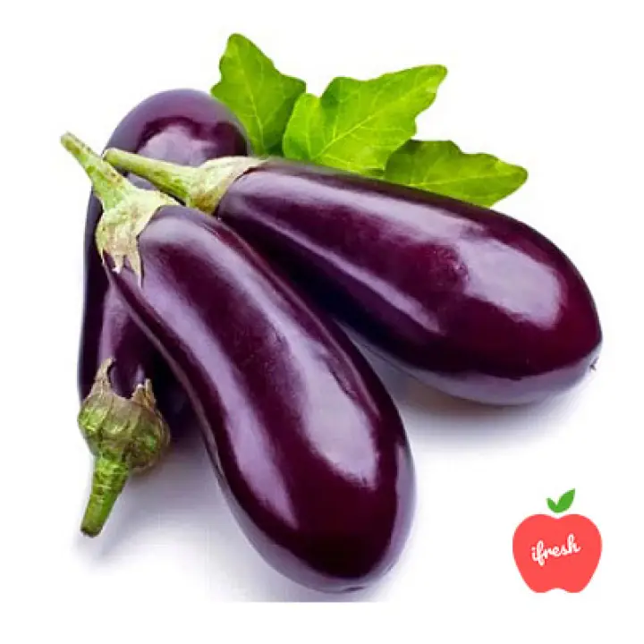 Fresh Vegetable Terung Pendek Eggplant Brinjal 300g Lazada