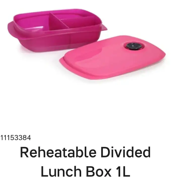 Tupperware Reheatable Divided Lunch Box 1.0L With/Without TUPpao Bag