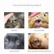 Eye Drops For Pets Cat and Dogs Gentamicin Eye Drops 5ml. 