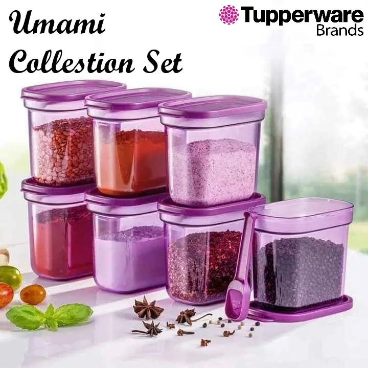 READY STOCK | Tupperware Umami Collection 500ml with Spoon| Bekas Rempah dengan sudu | Food Storage