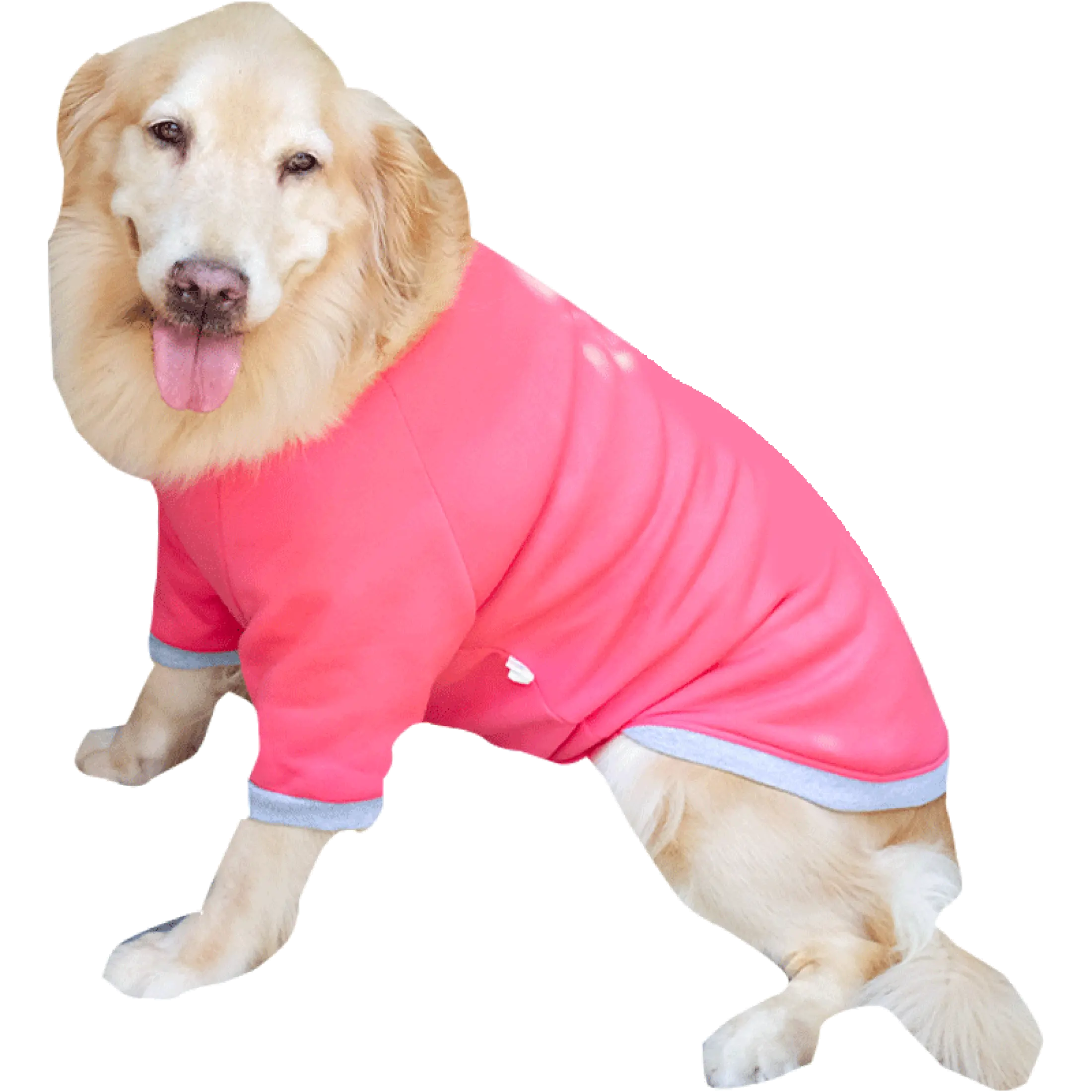 Sweater for medium sized dog Clearance