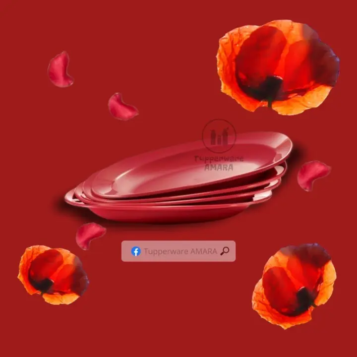 ◄∏  Tupperware Royal Red Plates