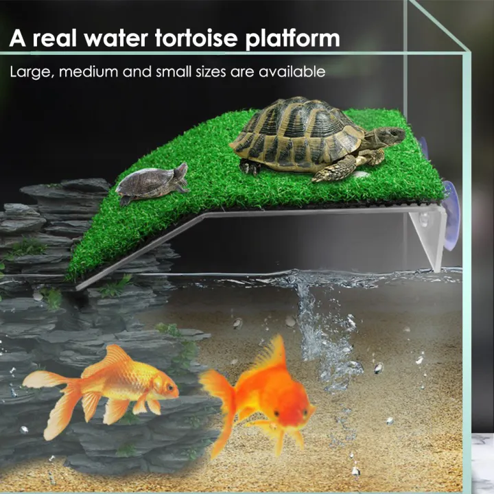 Platform Akuarium Kura Kura Hiasan Tangki Reptil Akrilik Pulau Akuarium Lumut Clambing Untuk Dekorasi Tangki Reptil Lazada Indonesia
