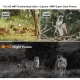 LS VISION 2K 4MP 4G Solar Alert Intelligent Trail Camera UCon APP Outdoor IP66 Waterproof CCTV Camera 0.2S Fast Wake-up PIR Ai Move Tracking Automatic Recording Wildlife Camera for Garden Yard Farms. 