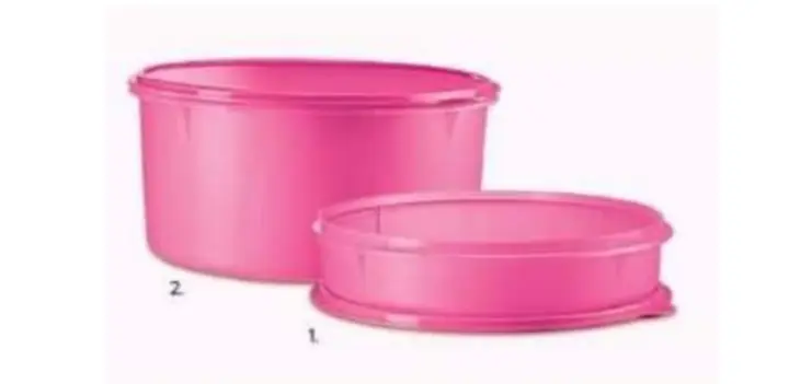 TUPPERWARE TAKE A LOT  SMALL (1pc Or 1 set of two pcs)