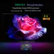 HK1 RBOX K8 Android 13 TV box 64GB 32GB 16GB 2.4G 5G WIFI 6 BT 5.0 8K Video Media Player Android Smart Box. 
