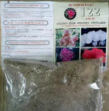 Beli Baja Pokok Bunga Ros Pada Harga Terendah Lazada Com My