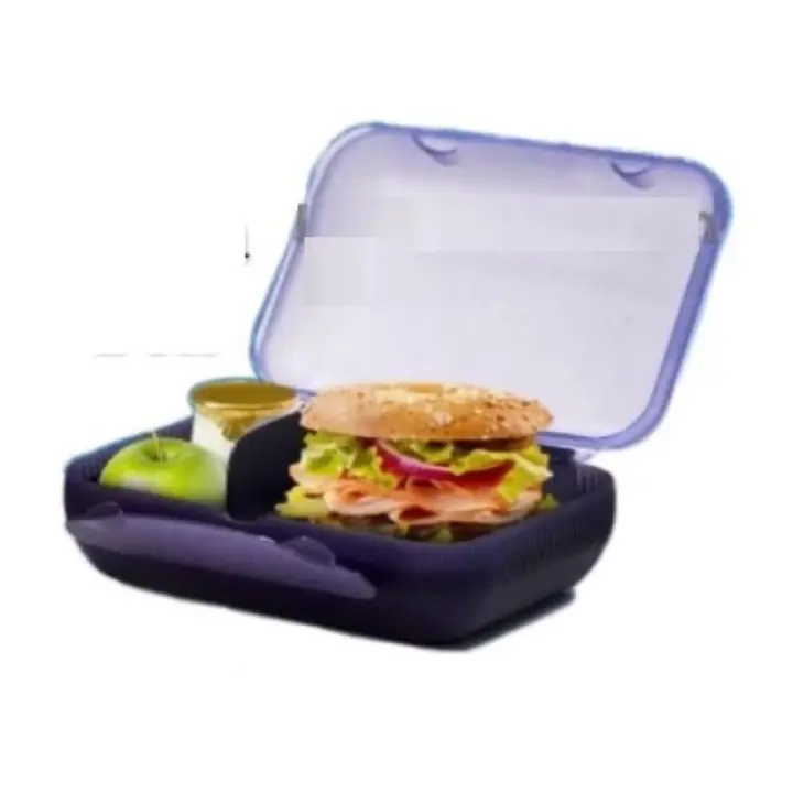[READY STOCK] At Lunch Box with Detachable Divider by Tupperware Sanwich Keeper