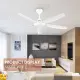 NSB Ceiling Fan FD693 54'' DC Motor 5 ABS Blade Remote Control 9+9 Speed Timer Kipas Siling Syiling Cooling 风扇. 