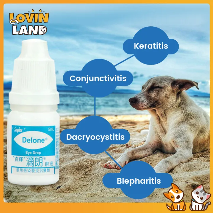 Eye Drops For Pets Cat and Dogs Gentamicin Eye Drops 5ml