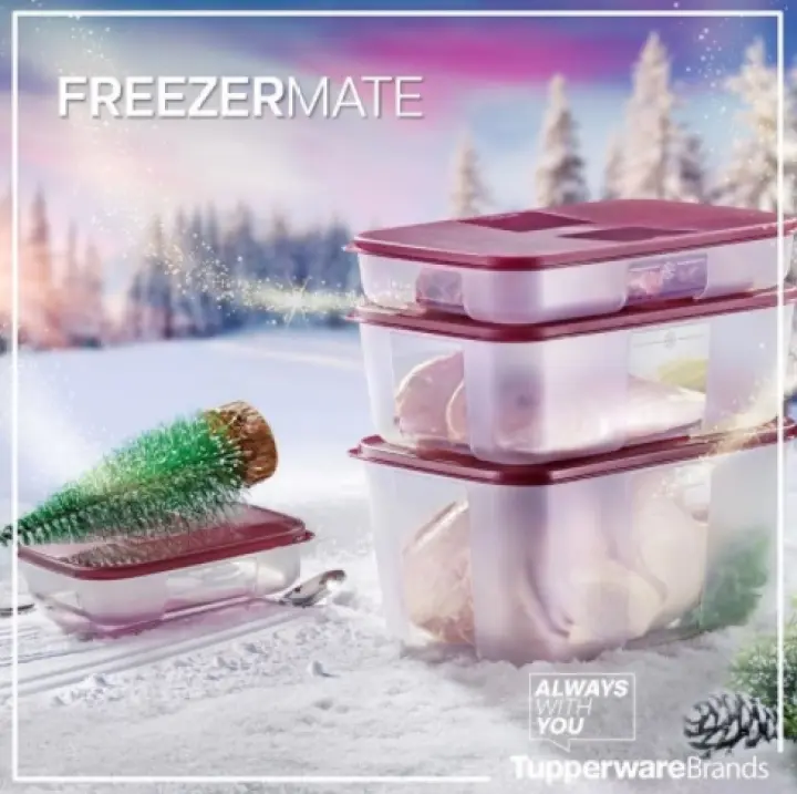 Tupperware Freezermate Series (Maroon color)