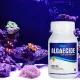 Pond Algae Control Effectively Controls Green Water Algae String or Hair Algae and Blanketweed Pond Cleaner Clarifier. 