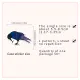 50PCS Sticker Crow misterius Cute kartun burung haiwan kalis air Graffiti Decal sesuai untuk DIY telefon Laptop Guitar Helmet Sticker hiasan. 