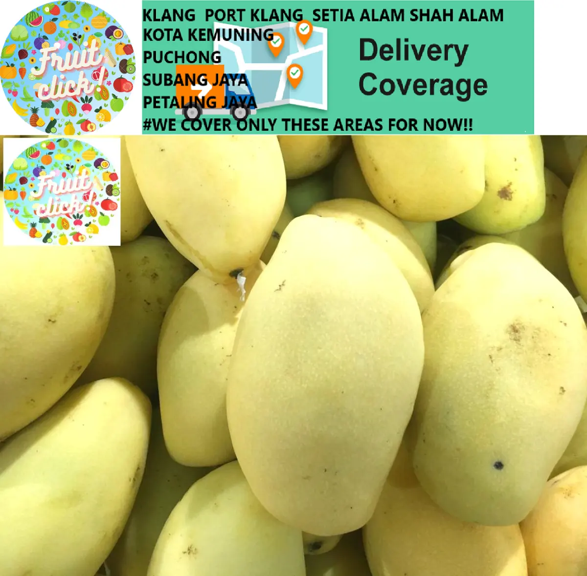 Fresh Mango Buah Mangga 芒果 Thailand Mango Susu Gold 1kg Fresh Fruit Lazada