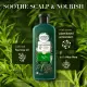 Herbal Essences Shampoo Scalp Soothing Tea Tree Oil 400ml. 
