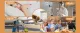 [PAPIFEED] Smart Pet Feeder 3L with App Control for Pets Cat and Dog Automatic Feeder. 