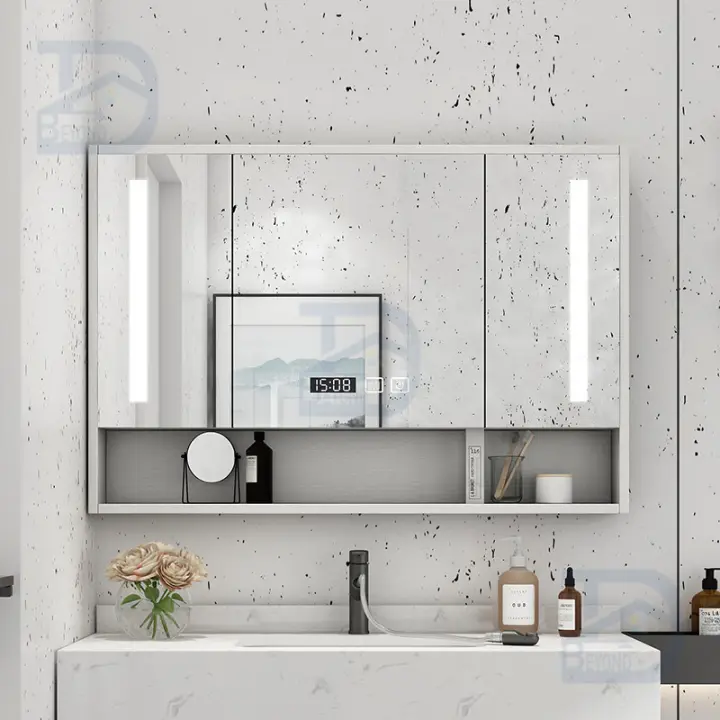 Bathroom Mirror Cabinet With Storage, Vanity Mirror Cupboard Bathroom
