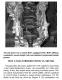 X-TREME HONDA B-SERIES ENGINES - Incl B16A1/2/3 (Civic), B17A (GSR),18 A/B (VTEC) B18C (GSR), B18C5 (TypeR), B20 (CRV). 