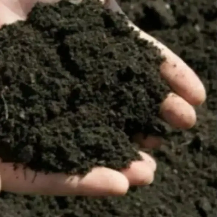 2 Kg Tanah Hitam Organik Sesuai Untuk Semua Tanaman Lazada