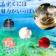 ~NEW Version~ Japan Okinawa Fucoidan Supplement 180 tablets Mozuku seaweed 42000mg (Ship from Japan / 100% Authentic). 