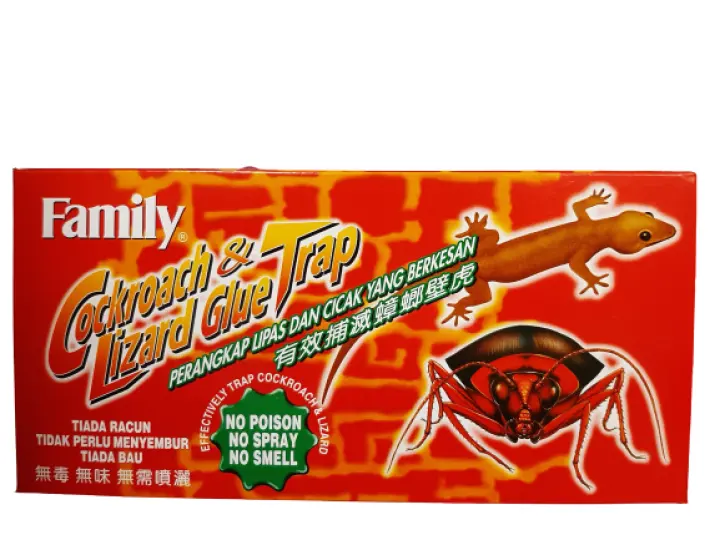 Family Cockroach Lizard Glue Trap Perangkap Lipas Dan Cicak No Poison No Smell No Spray 5 Traps Per Box Lazada