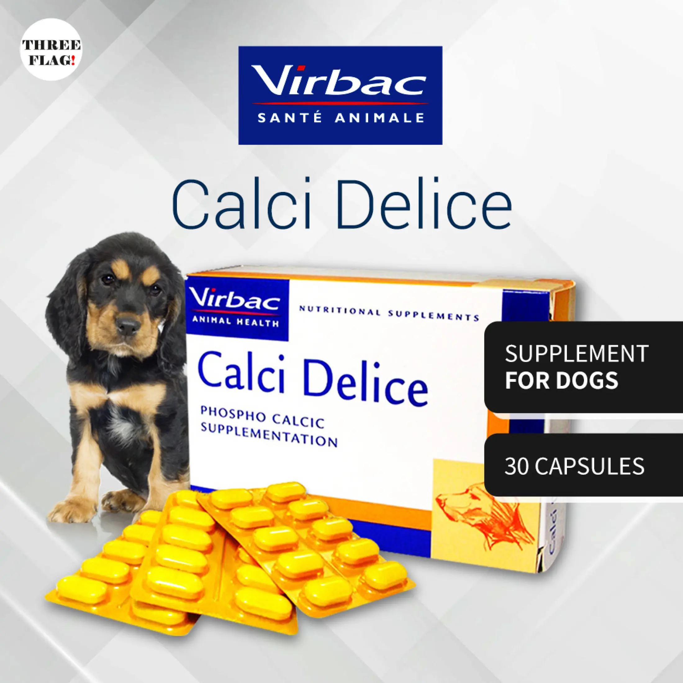 Virbac Calci Delice Health Supplement For Dogs 30 Capsules Lazada Singapore