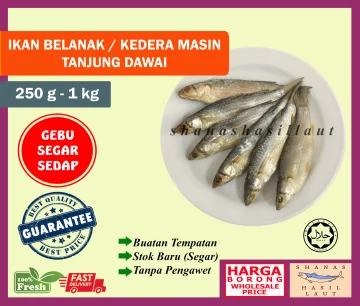 Beli Ikan Belanak Masin Pada Harga Terendah Lazada Com My