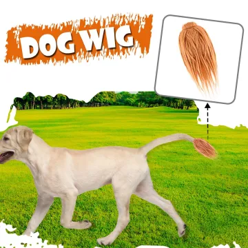 vòng cổ cho chó poodle Chất Lượng, Giá Tốt 2021  Lazada.vn