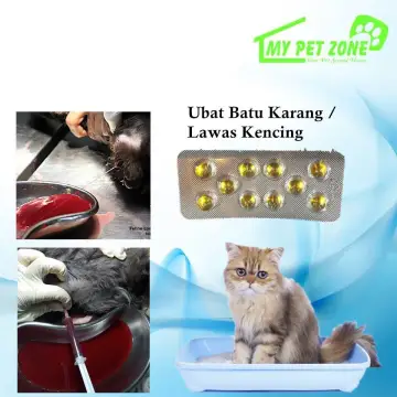 Beli ubat kencing Pada Harga Terendah  Lazada.com.my