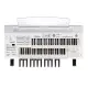 YAMAHA ELECTONE ELB02 STAGEA-NEW UNIT! (MODEL: ELB-02 / ELB / ELB STAGEA / ELB02 STAGEA ). 