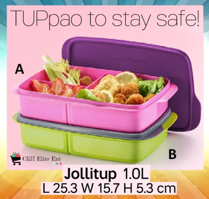 Tupperware Hearty Bites Lunch Box  / Jollitup 1L / FoodieBuddy