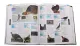 DK Encyclopedia New Version Third EditionAnimal The Definitive Visual Guide Original English Imported Books Animal Science Books Hardcover Large Format. 