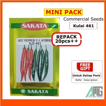 Beli benih cili 461 Pada Harga Terendah Lazada.com.my