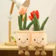 【Shanglife】Tulip Succulent Plants Plush Stuffed Decoration Toy Soft Decor Doll Potted Flowers Pillow for Girls Gift. 