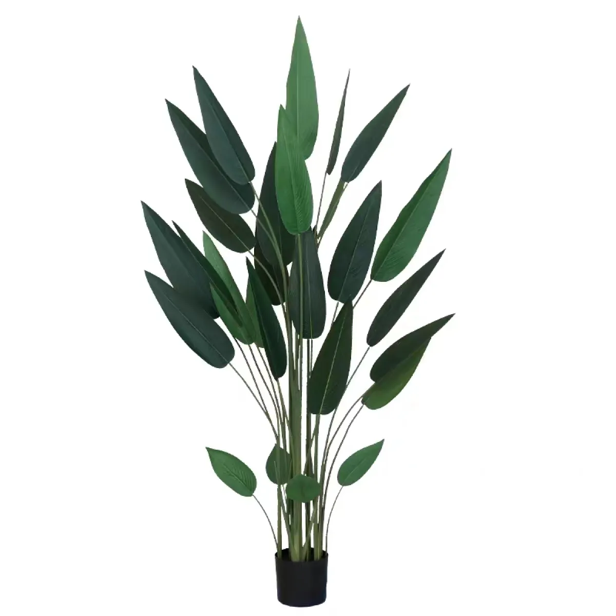 Pokok Skybird Viral 110cm 140cm 160cm 180cm Lazada