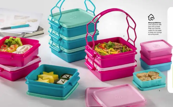 Tupperware Small Goody Box With Cariolier (4)