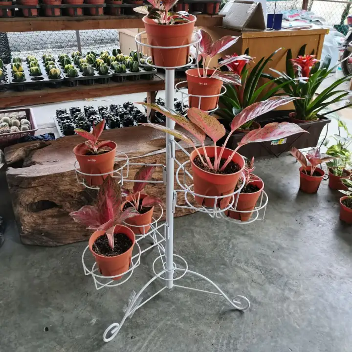 Sov White 7 Flower Pots Iron Rack Stand Kaki Besi Pasu Bunga Warna Putih 7 Pasu Lazada