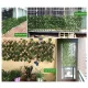 Smart Sensor Simulation Fence Fence Telescopic Fence Fake Flowers Green Leaves Outdoor Garden Fence Wall Guardrail Decorative Leaves Blocking Plants Small Fence-Little Creeper. 