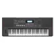 Roland E-X50 61-Key Arranger Keyboard With Adaptor (EX50 / E X50). 