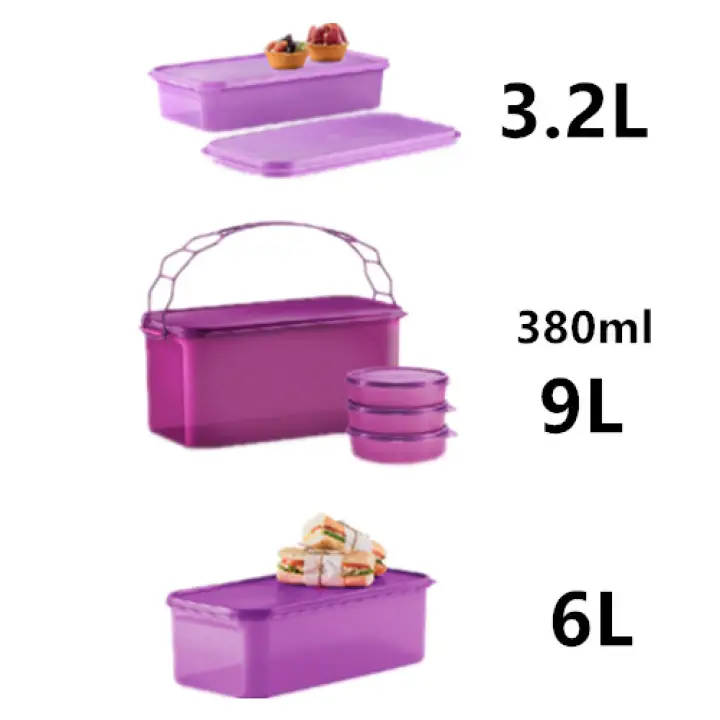 Tupperware Carry All Set (6) Purple 380ml/3.2L/6L/9L