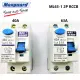 MAXGUARD 40A / 63A 100MA 2P ELCB (0.1A) / RCCB (ML63-1 SIRIM APPROVED) TYPE AC. 