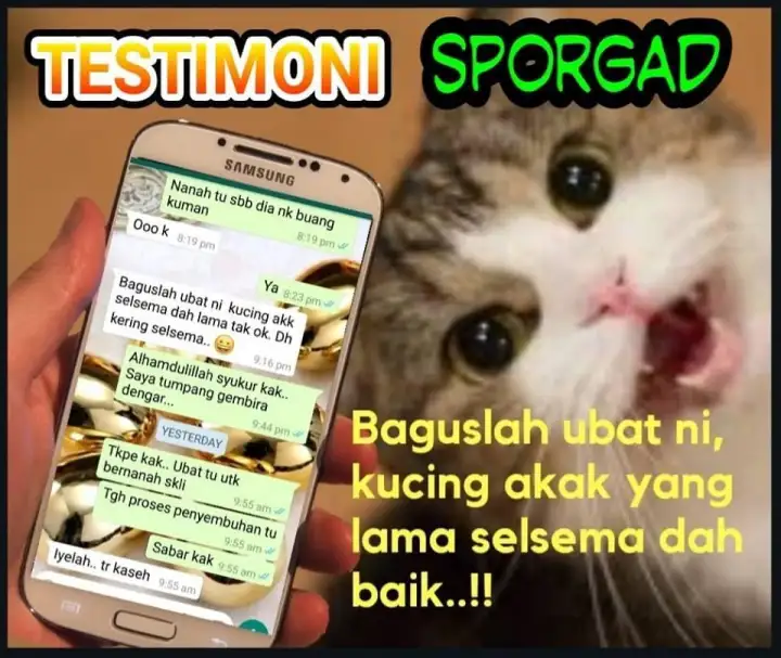 ORIGINAL UBAT KUCING SPORGAD UBAT SPORO KUCING [ Kapsul Yang 