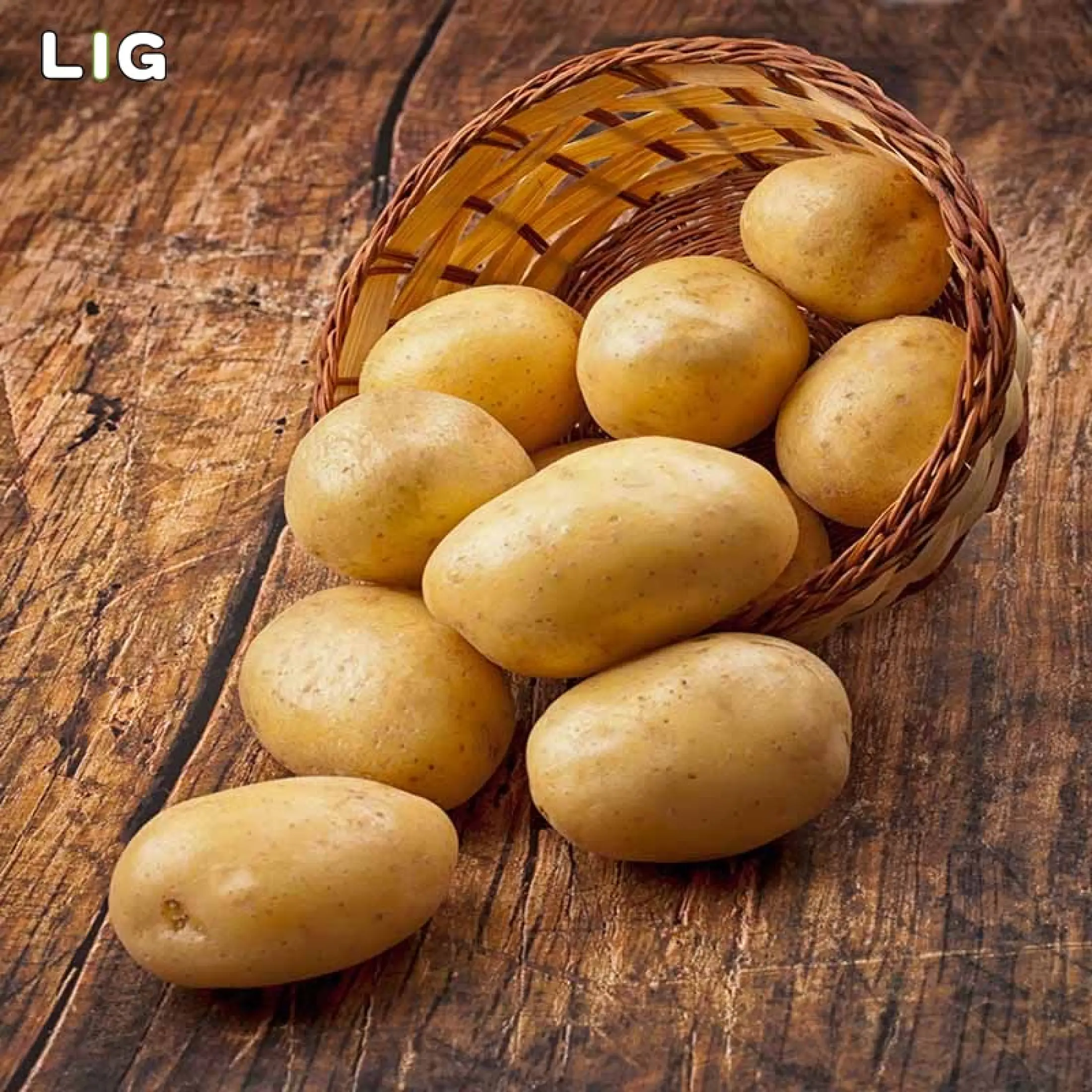 Lig 1 Bag 100pcs Gold Potatoes Flavorful Yellow Seeds Fleshed Potato Vegetable Seeds Nutritious Lazada Singapore